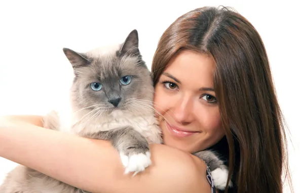 Picture cat, girl, white background, friends, hugs