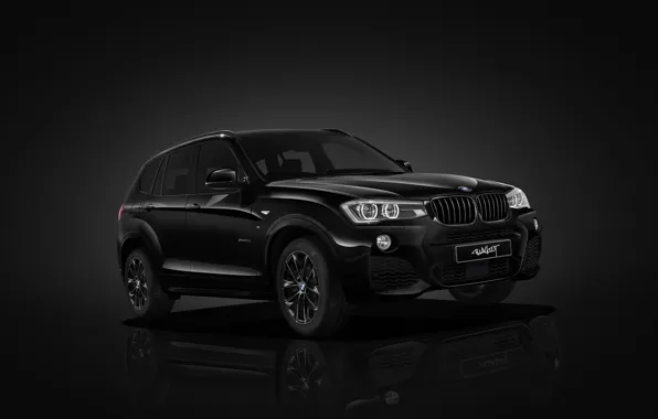 Picture background, BMW, BMW, crossover, F25