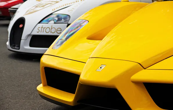 Picture white, yellow, veyron, Ferrari, bugatti, white, Ferrari, Bugatti, enzo, yellow, supercars, supercars
