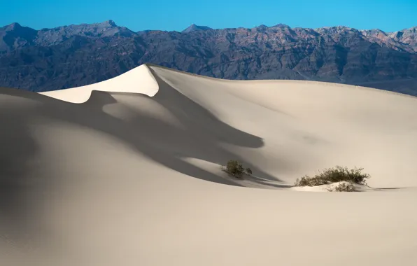 Picture sand, desert, dunes, USA, California, Death Valley National Park