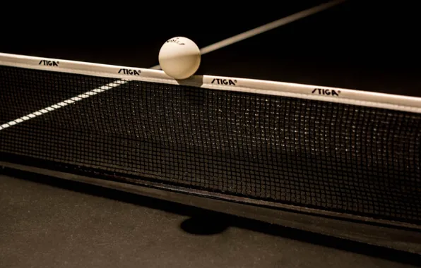 Picture mesh, the ball, ping-pong, table tennis