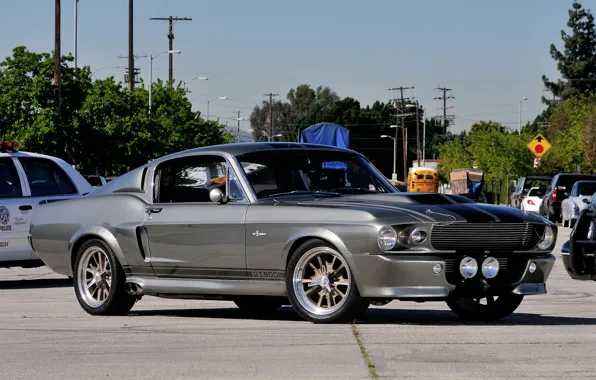 Picture background, Mustang, Ford, GT500, Ford, Mustang, Eleanor, the front, Muscle car, Muscle car, Eleanor