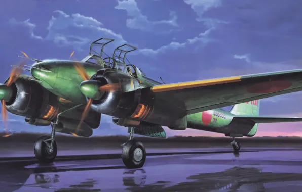 Picture war, art, painting, aviation, ww2, night fighter, Nakajima J1N1-S Gekko
