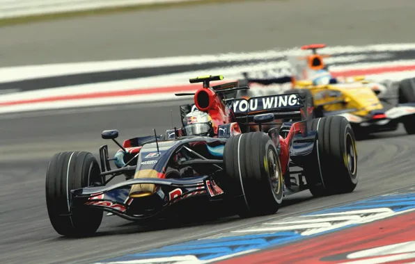 Picture Racer, Formula 1, Vettel, Champion, Sebastian, Toro Rosso