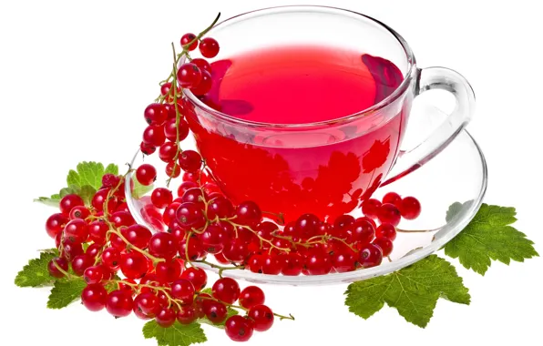Picture tea, white background, red, currants, tea, currant