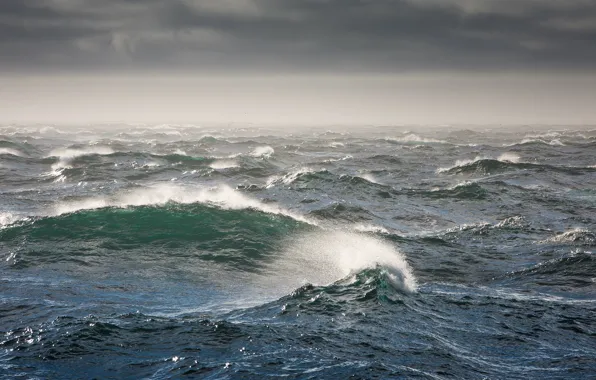 Picture wave, storm, The Bering sea, Bering Sea