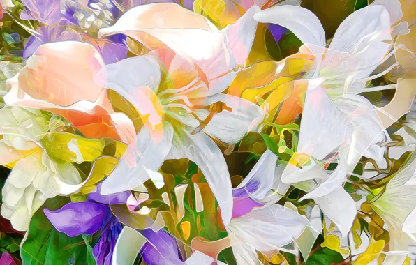 Picture flowers, rendering, Lily, petals