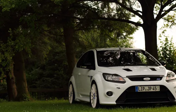 Picture white, ford, team, focus