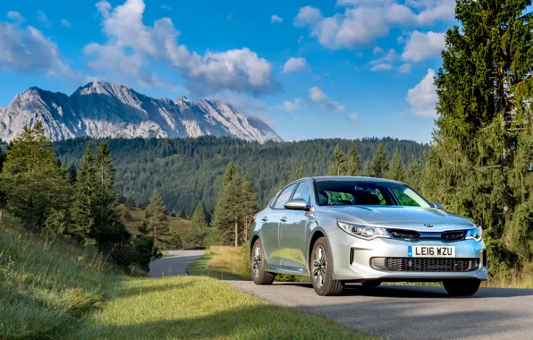 Picture road, forest, speed, forest, KIA, road, Hybrid, Kia, Optima, Plug-In