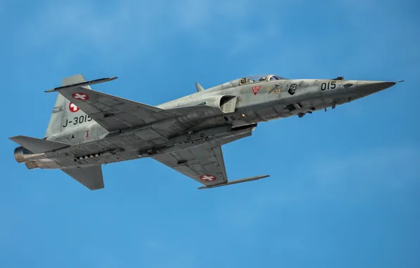 Picture weapons, the plane, Northrop F-5 Tiger