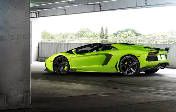 Picture green, supercar, lamborghini, coupe, roadster, aventador, Lamborghini, aventador, lp-700-4, 2015