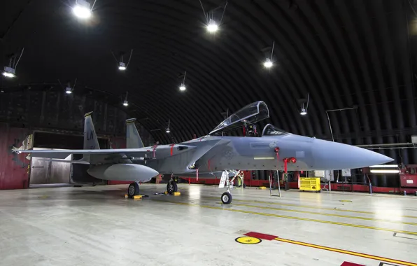 Picture fighter, hangar, Eagle, "Eagle", F-15D