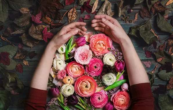 Picture autumn, leaves, style, hands, tulips, composition, Ranunculus