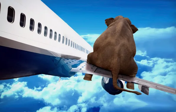 Picture the sky, flight, the plane, elephant, wing, art
