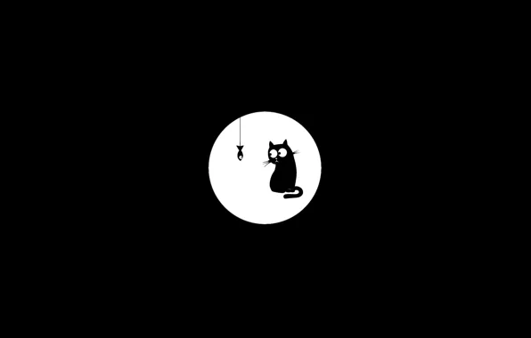 Picture cat, black and white, fish, black cat