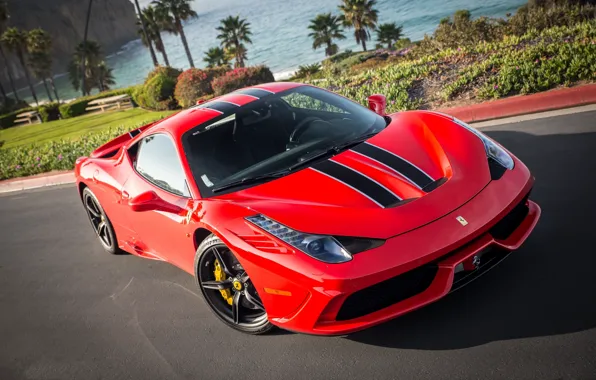 Picture flowers, red, palm trees, lawn, red, ferrari, Ferrari, the bushes, 458 speciale