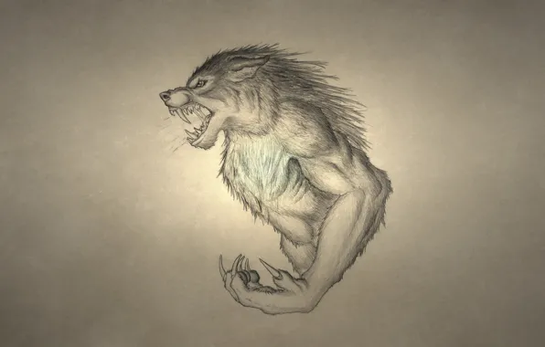 Picture wolf, werewolf, growls, wolf, werewolf