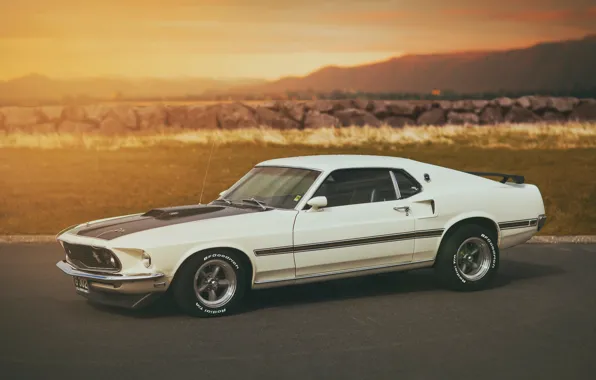 Picture white, Mustang, Ford, Mustang, white, Ford, Mach 1