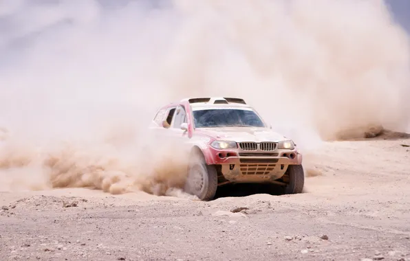 Picture Dust, BMW, Sport, BMW, Rally, Dakar, SUV, Rally, The front