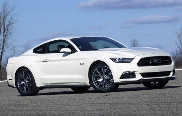 Picture Mustang, 2015, &quot;50
