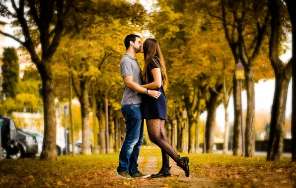 Picture autumn, kiss, pair, alley, lovers, Autumn Love