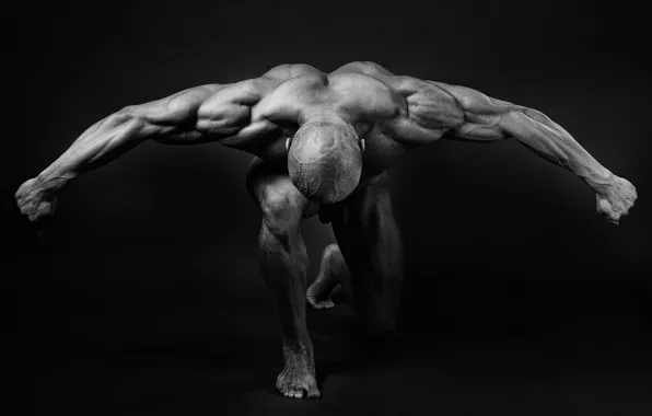 Picture muscles, pose, back, arms, bodybuilder