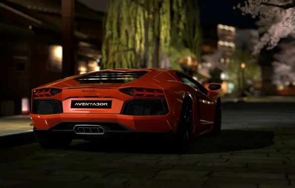 Picture Japan, Lamborghini, GT5