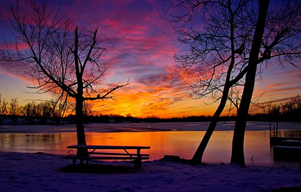 Picture the sky, sunset, river, tree