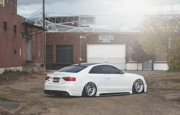 Picture Audi, Audi, white, low, stance