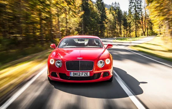 Picture Red, Bentley, Continental, Forest, Grille, Asphalt, Red, Lights, Car, The front