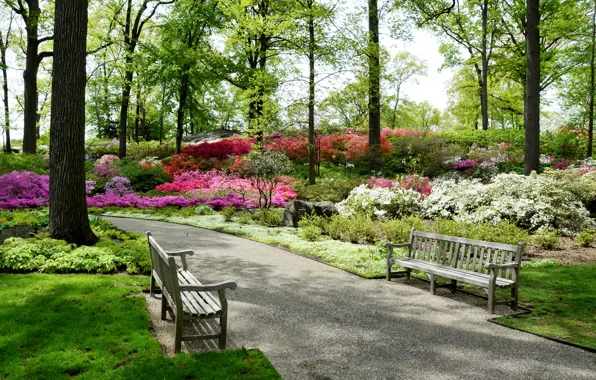 Picture road, bench, Park, New York, garden, USA, alley, alley, Belmont