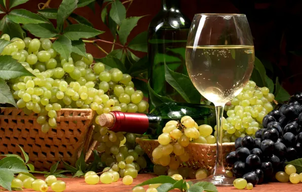 Picture leaves, wine, white, glass, bottle, grapes, basket