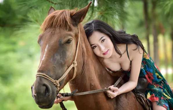 Picture summer, face, background, horse, horse, Asian