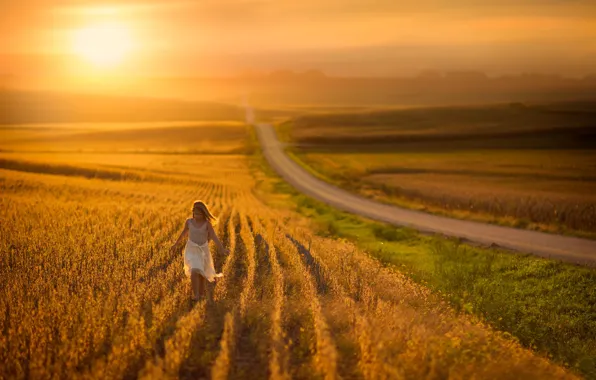 Picture road, field, space, girl, sunlight