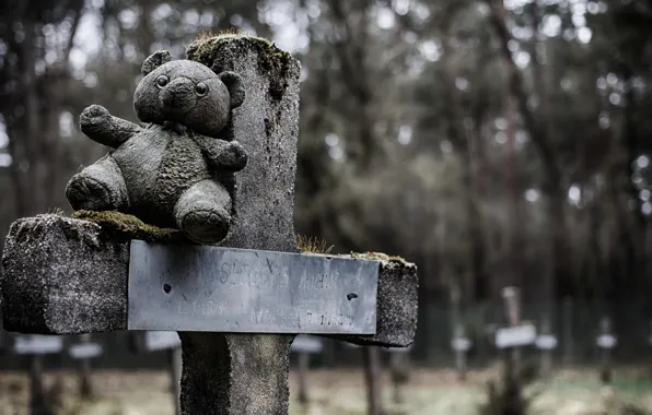 Picture cross, bear, cemetery