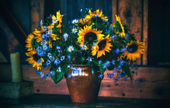 Picture flowers, sunflower, bouquet, vase
