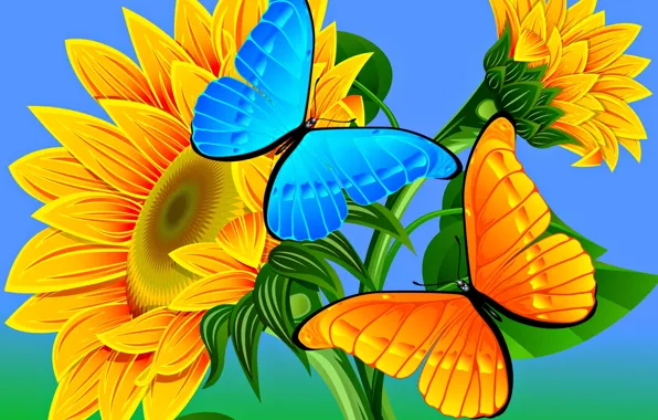 Picture abstraction, butterfly, vector, bright, podsolnuh