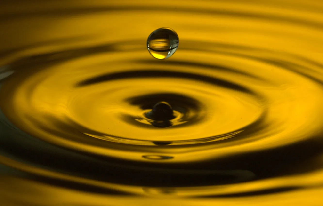 Wallpaper water, circles, drop, splash, yellow, drop, water, macro, ripples  images for desktop, section макро - download