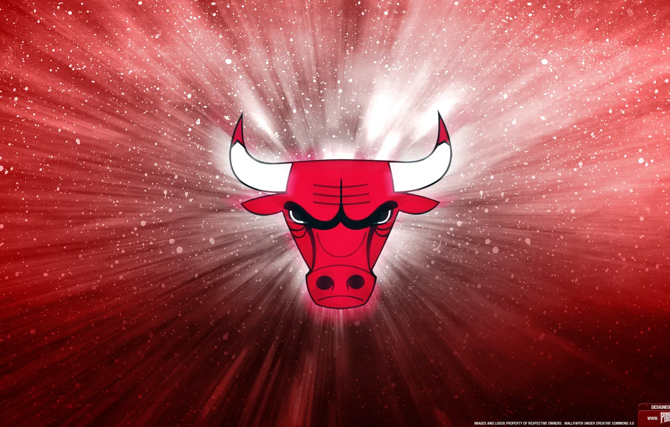 Wallpaper logo, new, chicago bulls
