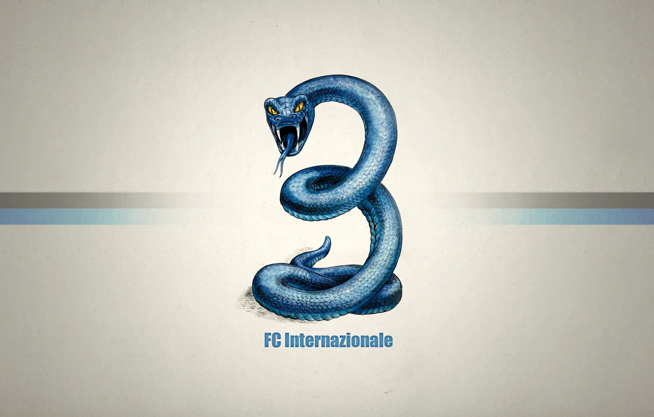 Photo wallpaper Snake, Texture, Inter, International
