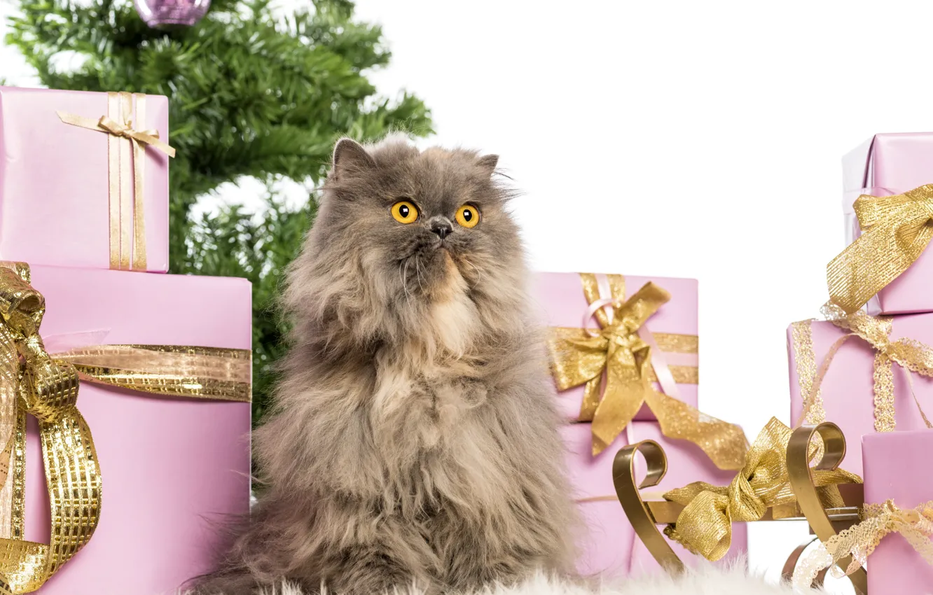 Photo wallpaper cat, tree, Christmas, New year, christmas, new year, cat, christmas tree