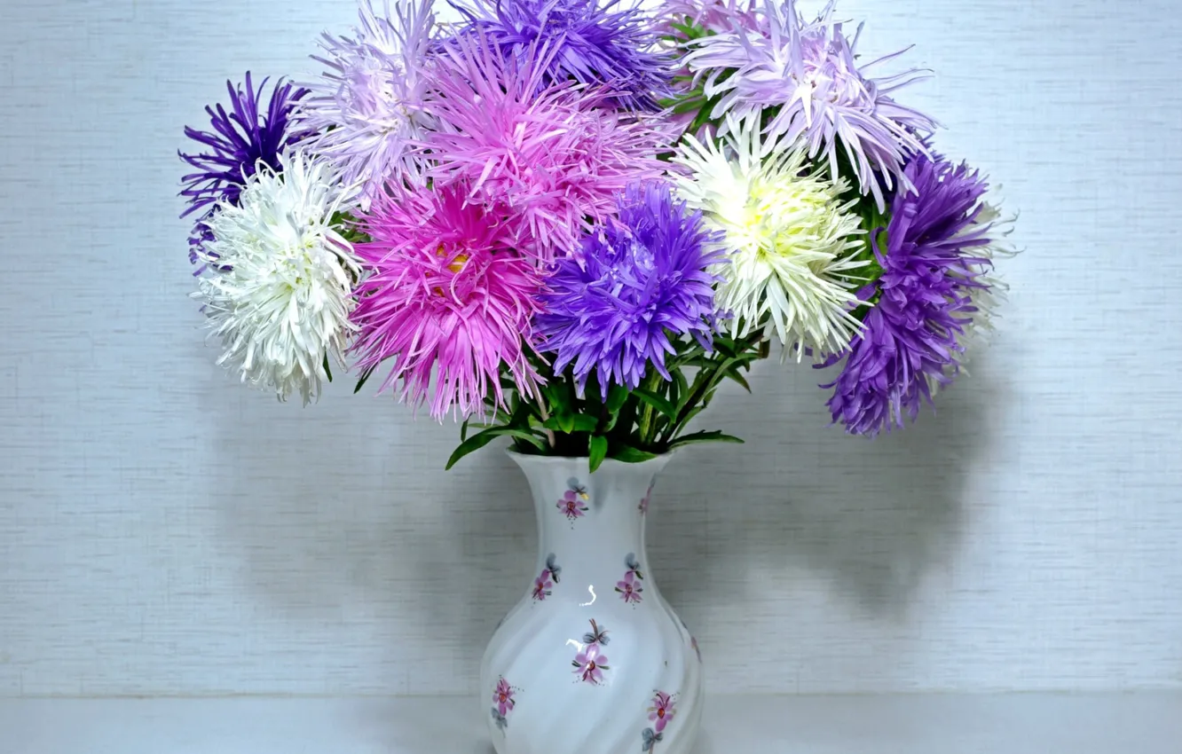 Wallpaper flowers, background, vase, asters images for desktop, section ...