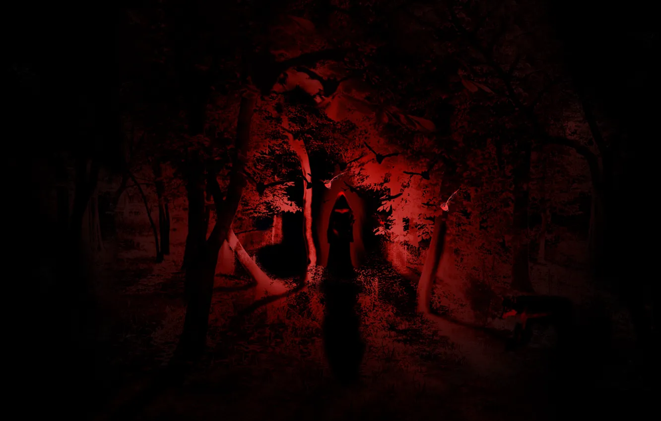 Wallpaper forest, light, night, horror, witch images for desktop, section  фантастика - download