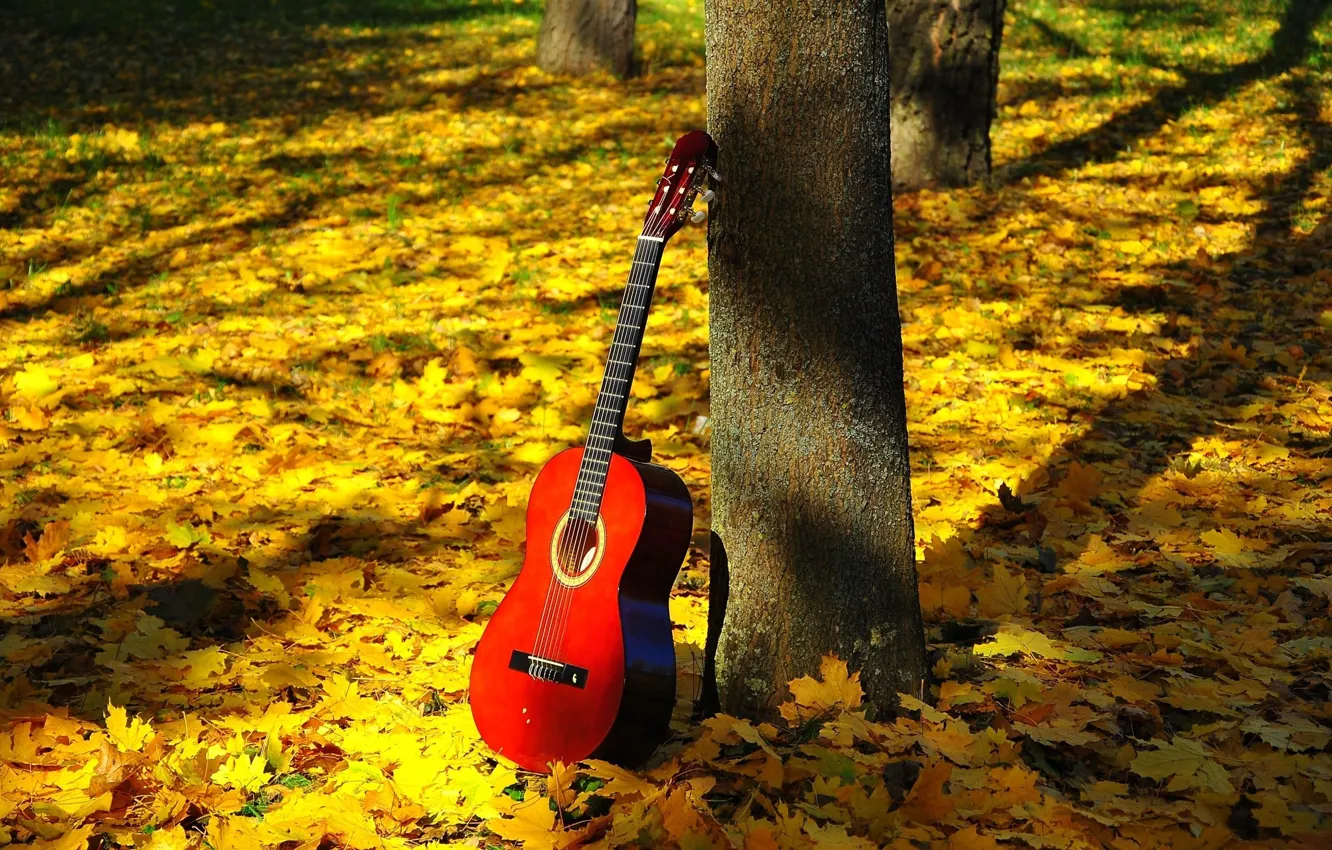 Photo wallpaper FOREST, NATURE, TREE, TRUNK, RED, GUITAR, LEAVES, HARMONY, LIGHT, MOOD, SHADOW, FRETS, GRIF, STRINGS, DECA, …