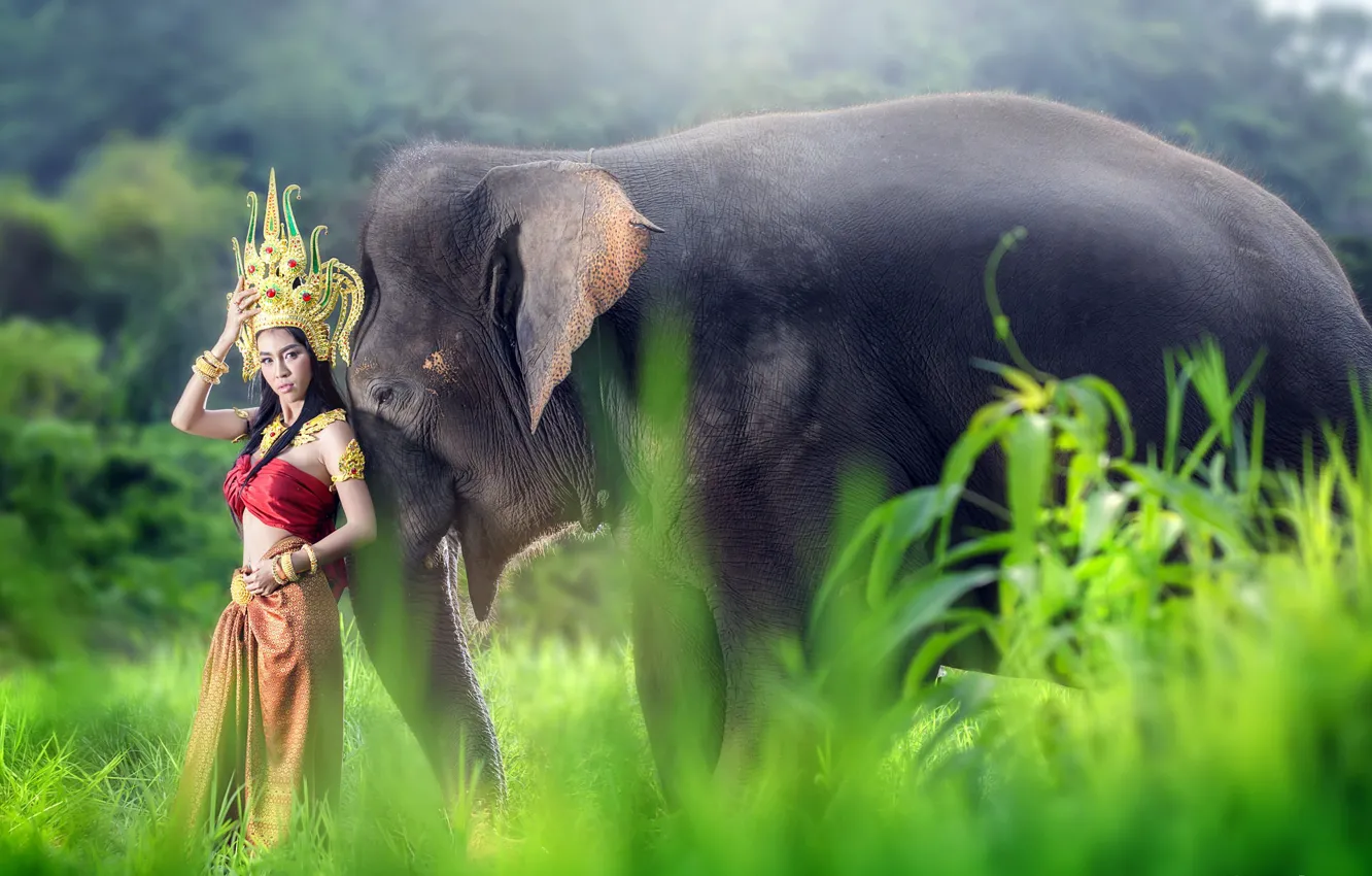 Wallpaper girl, elephant, Asian images for desktop, section ситуации -  download
