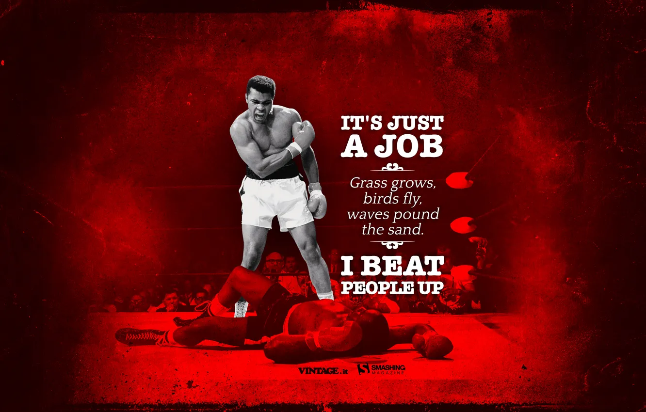 Photo wallpaper sport, Boxing, knockout, champion, boxer, Mohammed Ali, Ali