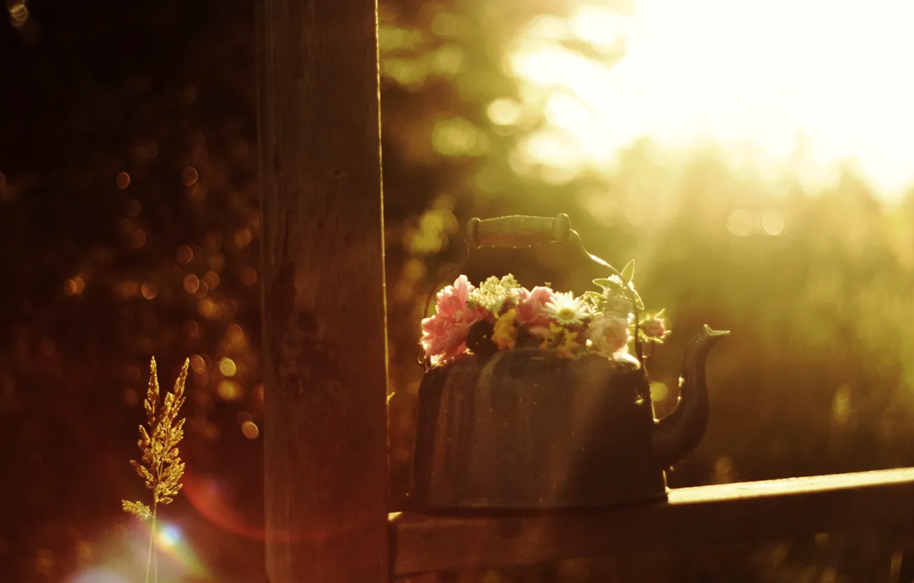 Photo wallpaper summer, the sun, rays, flowers, glare, mood, bouquet, morning, kettle, spikelets, the air, still life