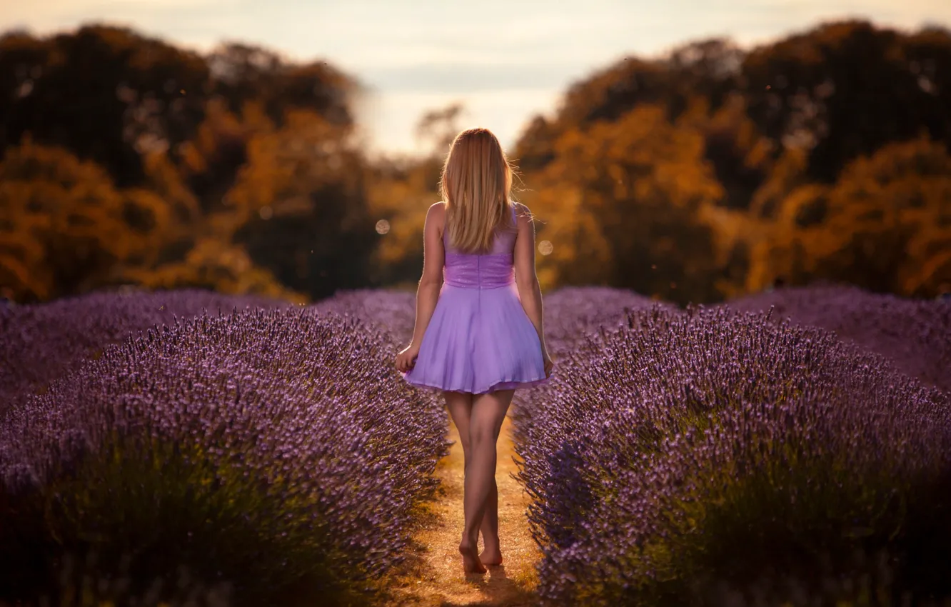 Photo wallpaper field, girl, dress, lavender