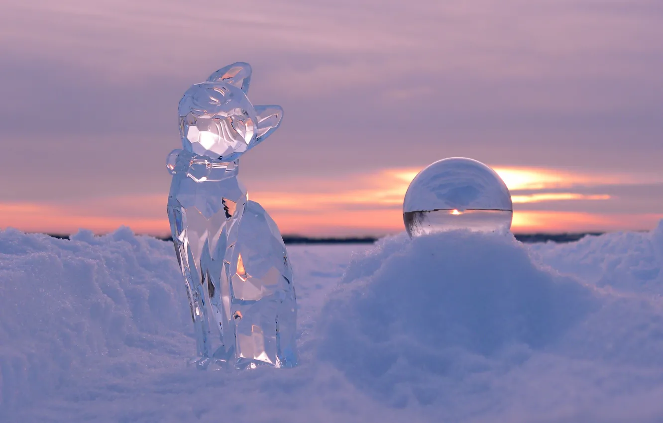 Wallpaper winter, cat, snow, sunset, ball, ice, sculpture images for  desktop, section разное - download