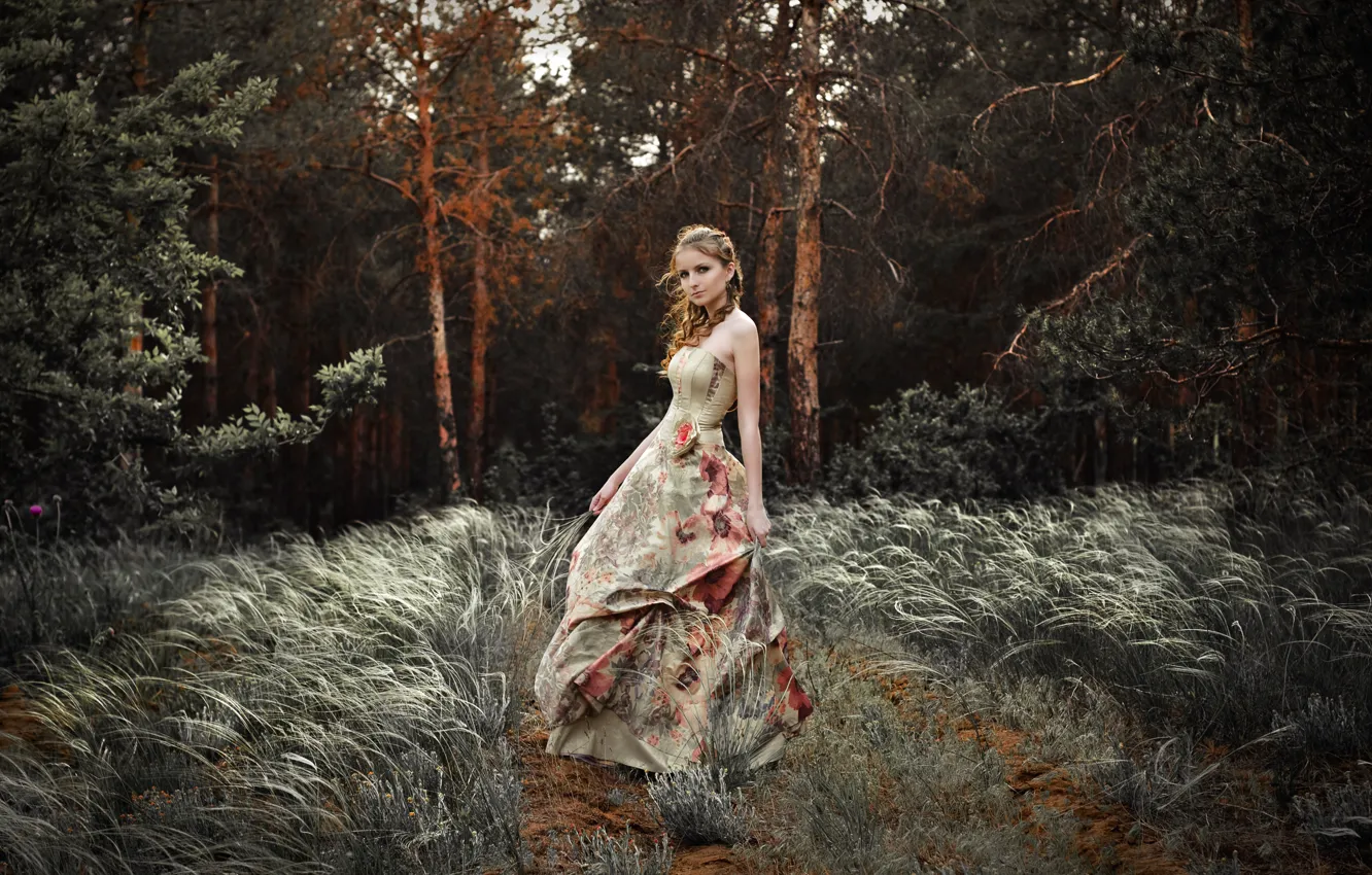 Photo wallpaper forest, grass, look, girl, trees, nature, the wind, dress, hairstyle